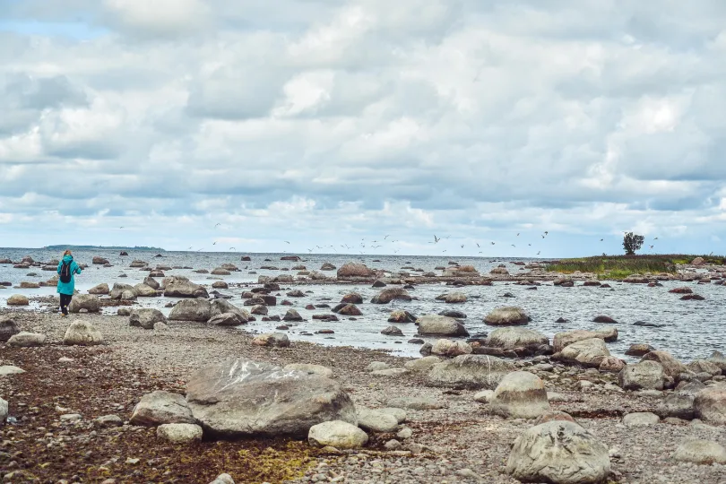 Wat zijn de Baltische Staten? Unieke mix van landen